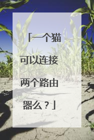 一个猫可以连接两个路由器么？