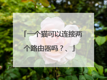 一个猫可以连接两个路由器吗？、