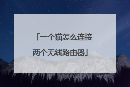 一个猫怎么连接两个无线路由器