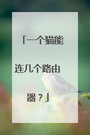 一个猫能连几个路由器？