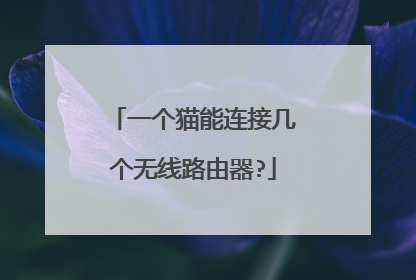 一个猫能连接几个无线路由器?