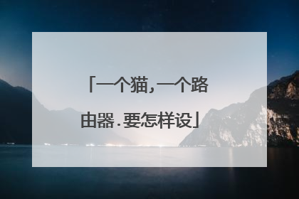 一个猫,一个路由器.要怎样设
