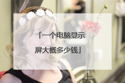 一个电脑显示屏大概多少钱