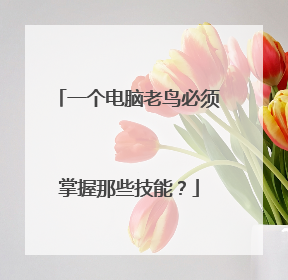 一个电脑老鸟必须掌握那些技能?
