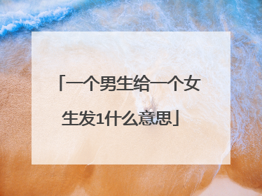 一个男生给一个女生发1什么意思