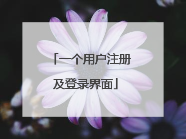 一个用户注册及登录界面