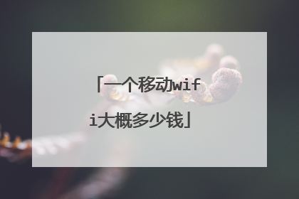 一个移动wifi大概多少钱