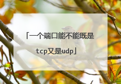 一个端口能不能既是tcp又是udp