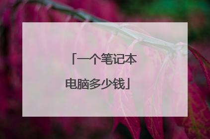 一个笔记本电脑多少钱