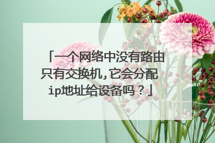 一个网络中没有路由只有交换机,它会分配ip地址给设备吗？