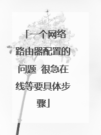 一个网络 路由器配置的问题 很急在线等要具体步骤