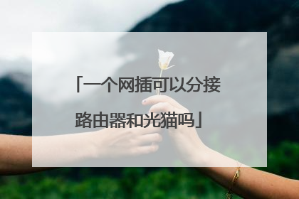 一个网插可以分接路由器和光猫吗