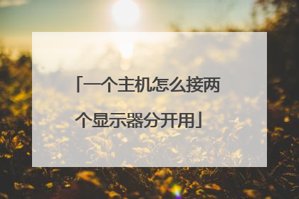 一个主机怎么接两个显示器分开用