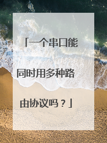 一个串口能同时用多种路由协议吗?