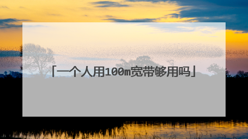 一个人用100m宽带够用吗