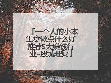 一个人的小本生意做点什么好推荐5大赚钱行业-股城理财