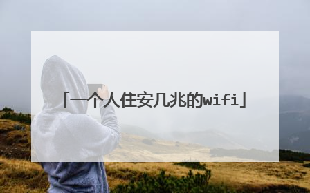 一个人住安几兆的wifi