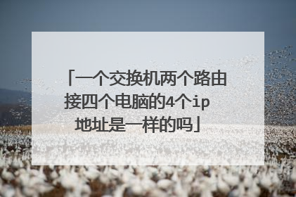 一个交换机两个路由接四个电脑的4个ip地址是一样的吗