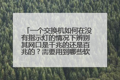 一个交换机如何在没有指示灯的情况下辨别其网口是千兆的还是百兆的？需要用到哪些软件或工具？