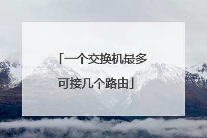 一个交换机最多可接几个路由