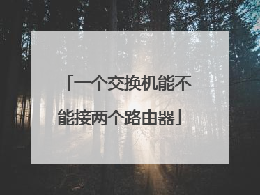 一个交换机能不能接两个路由器