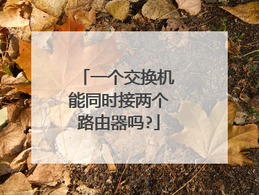 一个交换机能同时接两个路由器吗?