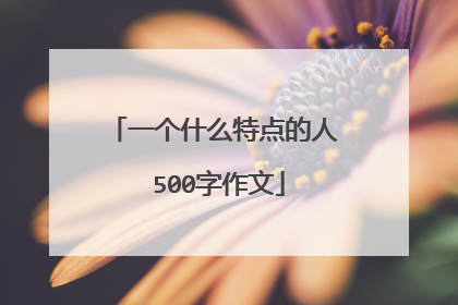 一个什么特点的人 500字作文