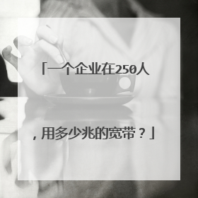 一个企业在250人,用多少兆的宽带?