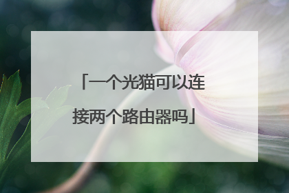 一个光猫可以连接两个路由器吗