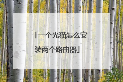 一个光猫怎么安装两个路由器