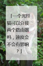 一个光纤猫可以分接两个路由器吗,速度会不会有影响?