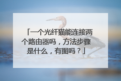 一个光纤猫能连接两个路由器吗,方法步骤是什么,有图吗?