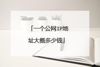 一个公网IP地址大概多少钱