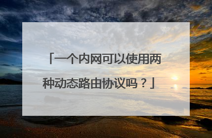 一个内网可以使用两种动态路由协议吗?