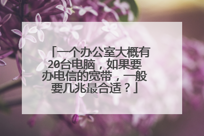 一个办公室大概有20台电脑，如果要办电信的宽带，一般要几兆最合适？