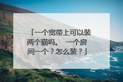 一个宽带上可以装两个猫吗。 一个房间一个？怎么装？