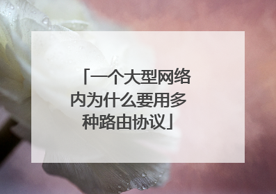 一个大型网络内为什么要用多种路由协议