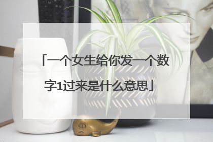 一个女生给你发一个数字1过来是什么意思