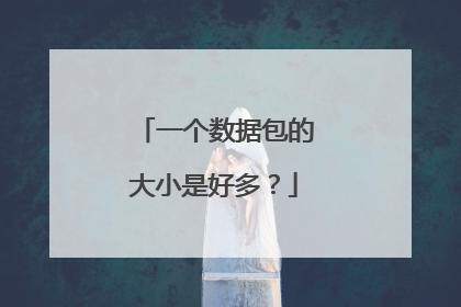 一个数据包的大小是好多？