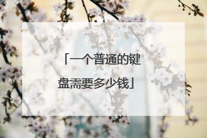 一个普通的键盘需要多少钱