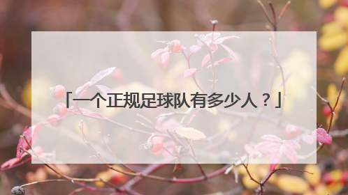 一个正规足球队有多少人？