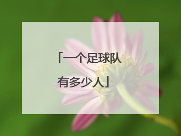 一个足球队有多少人