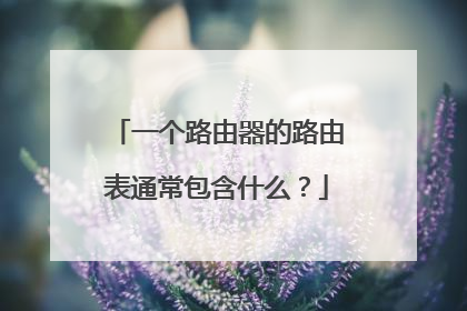 一个路由器的路由表通常包含什么?