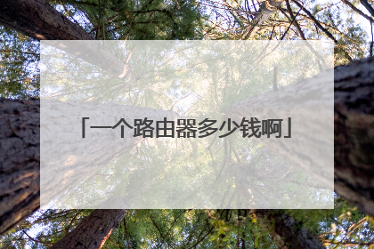 一个路由器多少钱啊