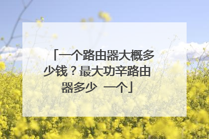 一个路由器大概多少钱？最大功辛路由器多少 一个