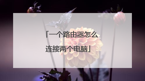 一个路由器怎么连接两个电脑
