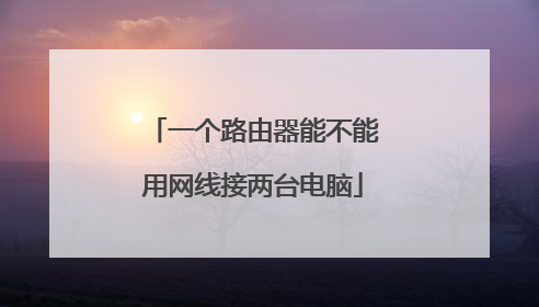 一个路由器能不能用网线接两台电脑