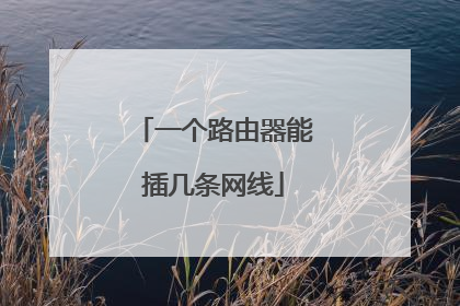 一个路由器能插几条网线