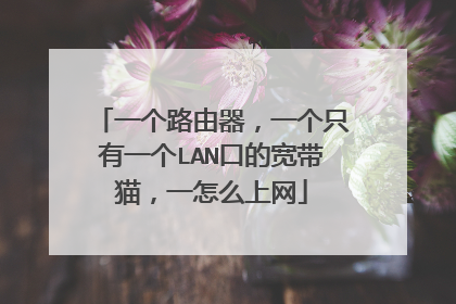 一个路由器,一个只有一个LAN口的宽带猫,一怎么上网