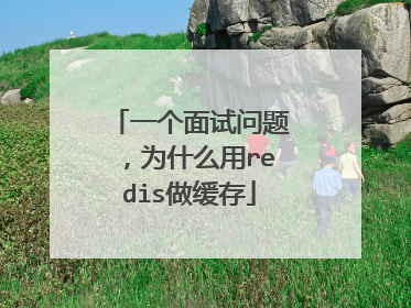 一个面试问题，为什么用redis做缓存